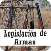 legislacion sobre armas