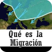 que es la migracion