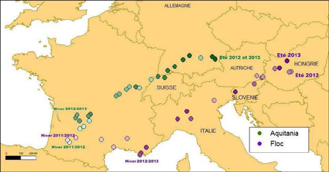 mapa de migracion Argos de paloma torcaz aquitania