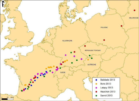 mapa de migracion Argos de paloma torcaz bore