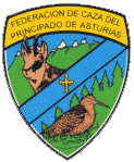 logo federacion asturias