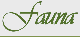 logo fauna