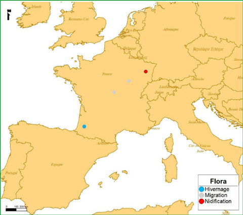 argos20 mapa flora