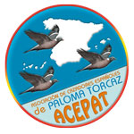 ACEPAT Asociacion de cazadores españoles de paloma torcaz