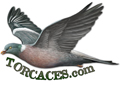 logo torcaces.com