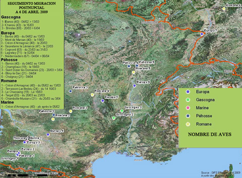 Boletin de Noticias Argos 3 sobre migracion de paloma torcaz