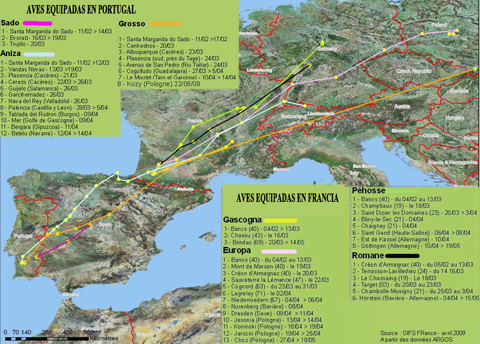 mapa de ubicacion de nidificacion de las torcaces por sistema argos