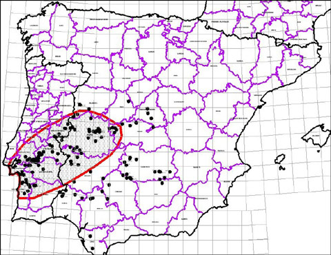 mapa dormideros de paloma torcaz en la peninsula iberica